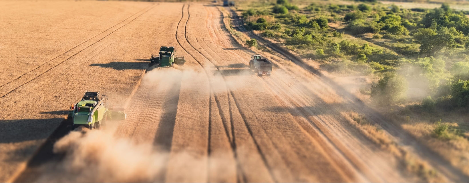 Agriculture industries img 3