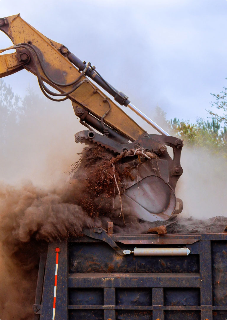 Shutterstock 2650898121